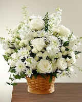Premium size,  inches height and  inches wide.