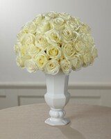 Premium size,  inches height and  inches wide.