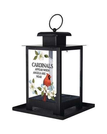 Birdfeeder Sympathy Arrangement