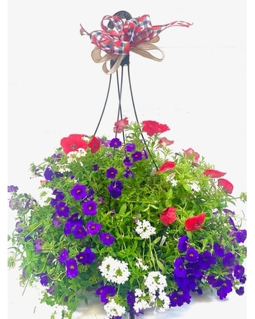 Youngs Own Hanging Basket Plant