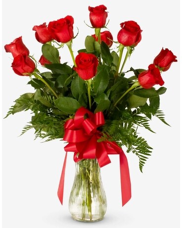 Sympathy Long Stem Roses - Red Flower Arrangement