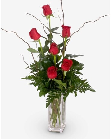 6 Red Roses Flower Arrangement
