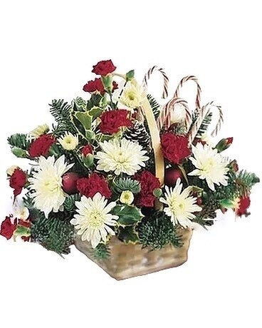 Basket of Cheer  C13-4840 Flower Arrangement