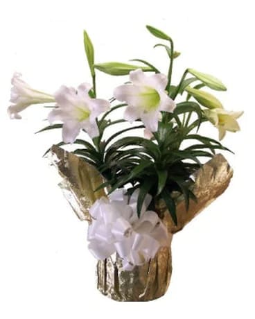 Double Easter Lily