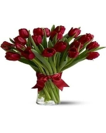 Tulips!