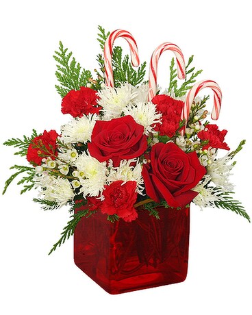 Candy Cane Cube Flower Arrangement