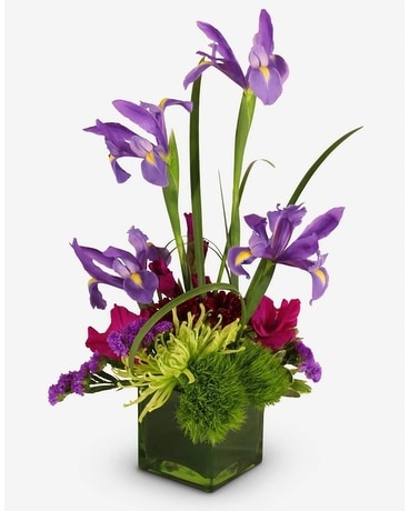 Iris in Bloom Flower Arrangement
