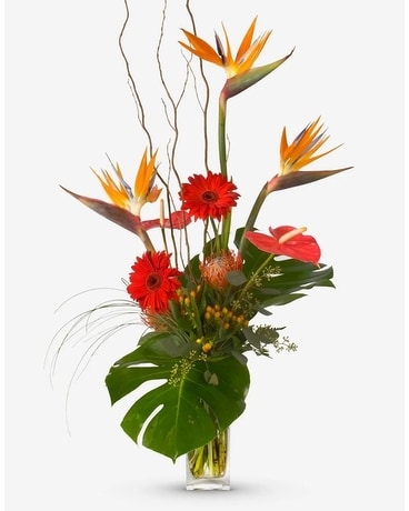 Tropical Paradise Flower Arrangement