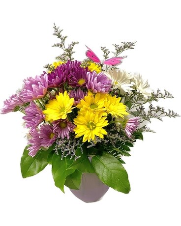 Dancing Daisies Bouquet Flower Arrangement