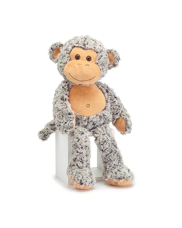 Fluffy Gray Monkey Gifts