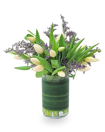 White Tulips Sympathy Arrangement