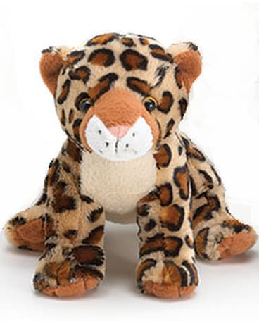Leopard Gifts