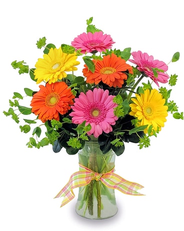 Spring Gerberas Flower Arrangement