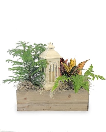 Woodland Illumination Garden Flower Arrangement