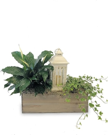 Peaceful Lantern Tribute Flower Arrangement