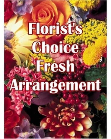 Florist's Choice - Fresh Arrangement Flower Arrangement