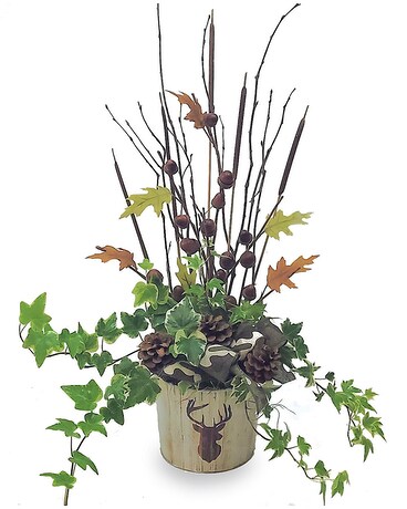 Woodland Treasures Plant