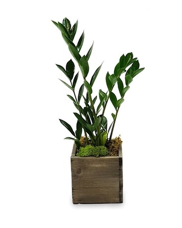 ZZ Reclamation Plant
