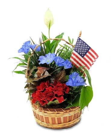 Victory Garden Plant