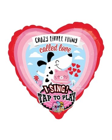Crazy Love Singing Balloon Gifts