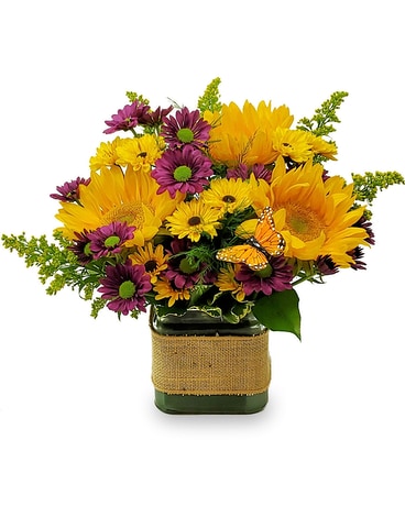 Butterfly Meadow Cube Flower Arrangement