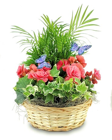 Butterflies in the Garden Flower Arrangement