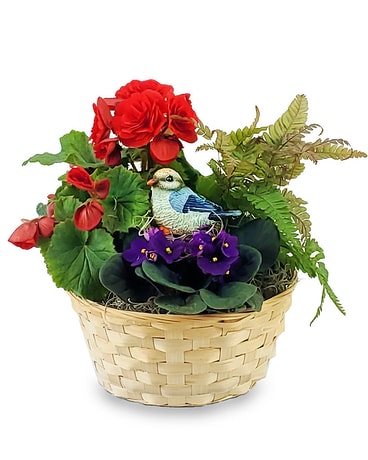 Bluebird of Happiness Garden Flower Arrangement