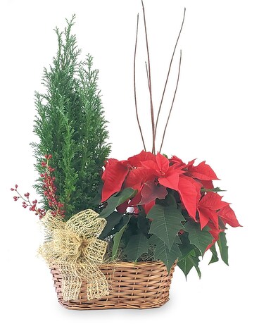 Season of Splendor Planter Plant