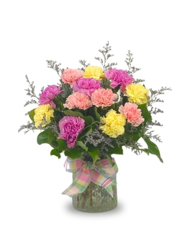 Spring Carnations Dozen Spring Carnations in Marshfield WI - Hefko Floral Company