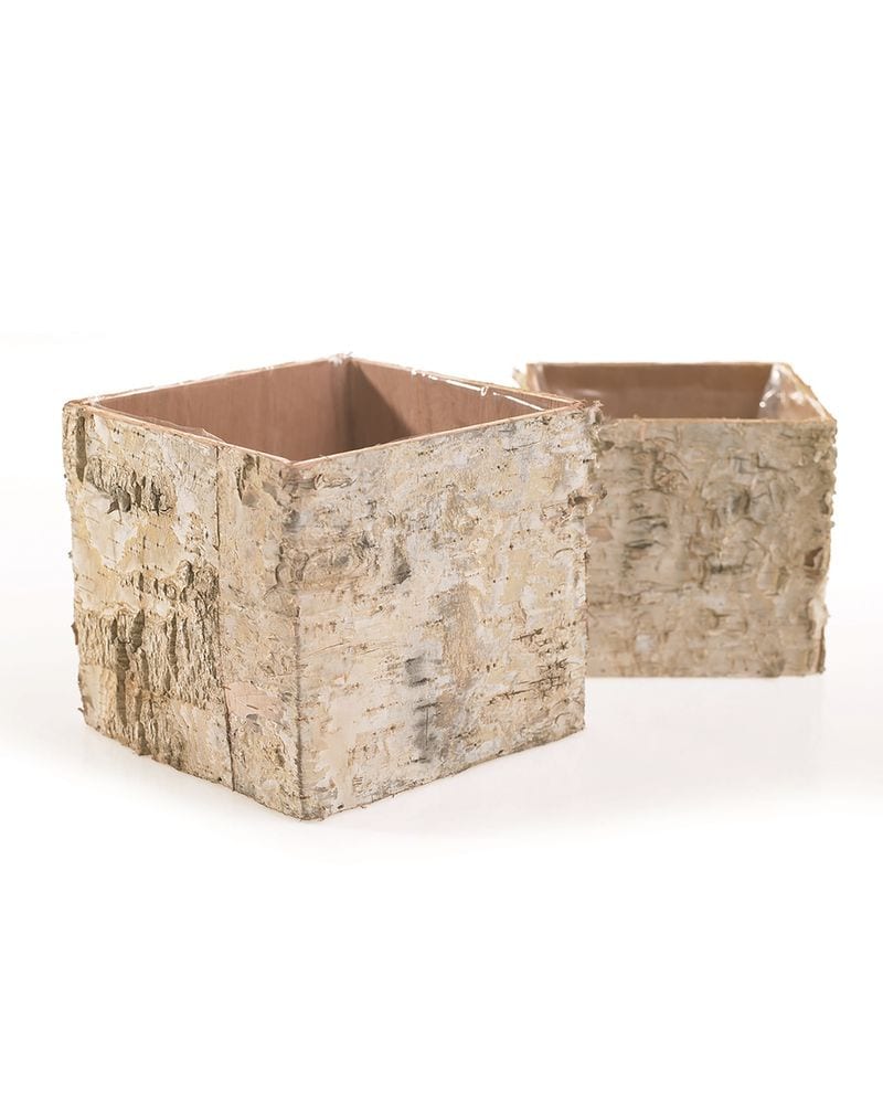 Plant plant planter - set of 2, large and small planter outlet made of real birch bark