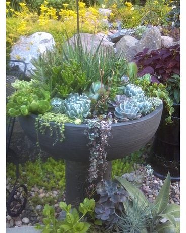 Exclusive 2 Flower Arrangement