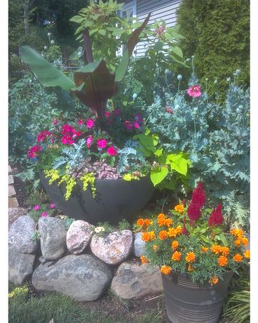 Exclusive 3 Flower Arrangement