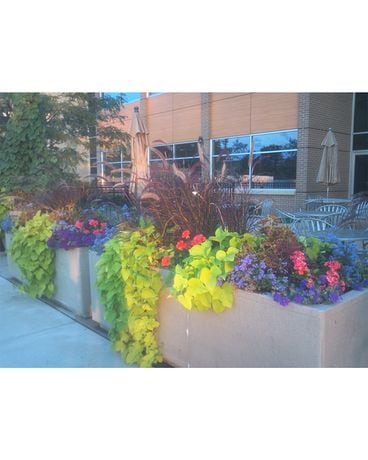 Exclusive 5 Flower Arrangement