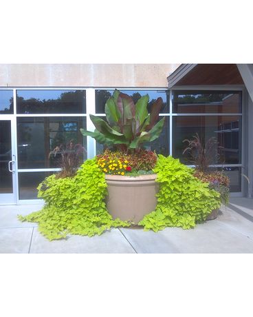 Exclusive 7 Flower Arrangement