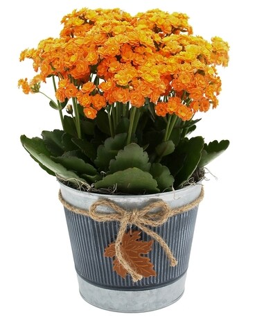 Harvest Cheer Flower Arrangement