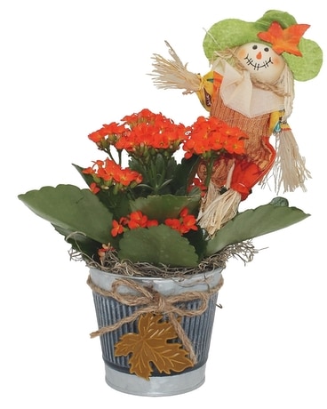 Hello Fall Flower Arrangement
