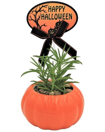 Little Pumpkin Flower Arrangement