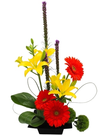 Congratulations Flowers Delivery Appleton WI - Memorial