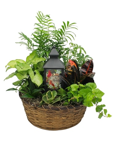 house plant shelf Corner Plant Stand Woodworking Plans – Houseful of Handmade main image 0