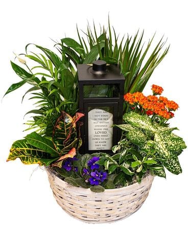 MFG Gardens Light Basket Flower Arrangement