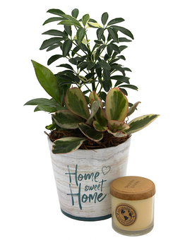 Home Again - Gift Set