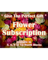 9 Month Premium (Charged Monthly) size,  inches height and  inches wide.