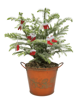 Rudolph Flower Arrangement