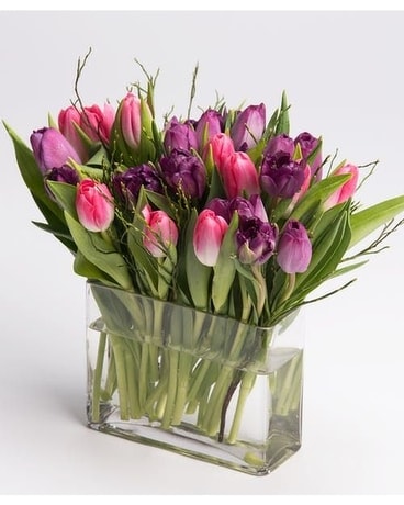 Tiptoe Tulips Flower Arrangement