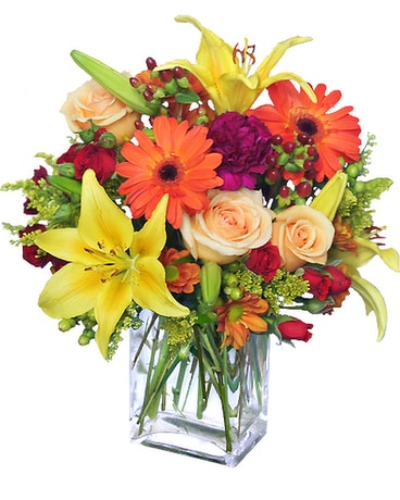 Bliss Flower Arrangement