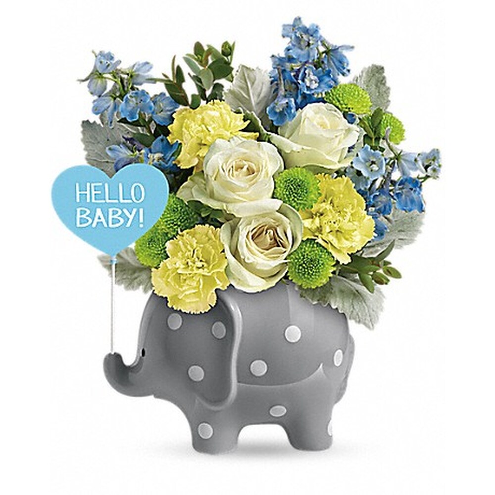 Hello Sweet Baby Blue in Cincinnati OH Benken Florist Home and