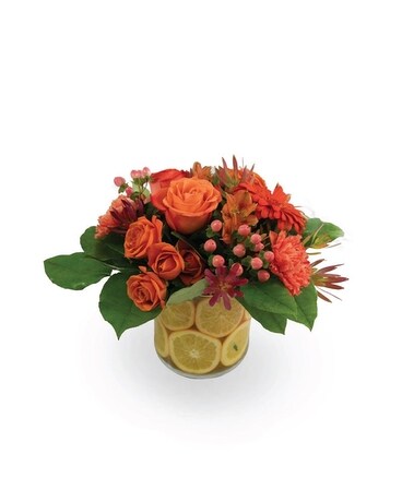 https://assets.eflorist.com/site/68297600/assets/products/PHR_/sku10170201.jpg