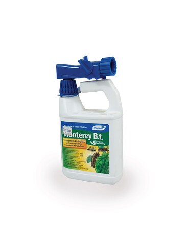 1 Quart size,  inches height and  inches wide.
