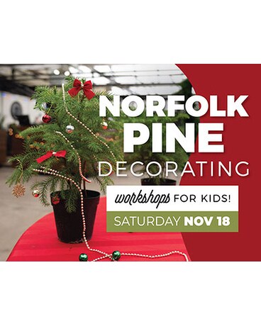 Norfolk Pine Decorating Workshop - Saturday 11/18 Custom product