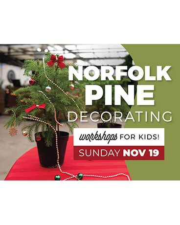 Norfolk Pine Decorating Workshop - Sunday 11/19 Flower Arrangement